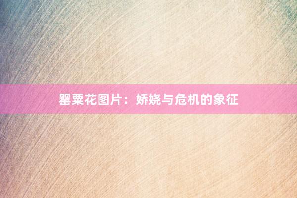 罂粟花图片：娇娆与危机的象征